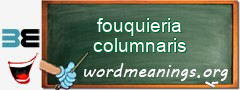 WordMeaning blackboard for fouquieria columnaris